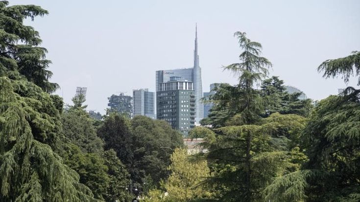I comitati civici in campo: “Da Baggio a San Siro, sempre violati gli standard del verde”