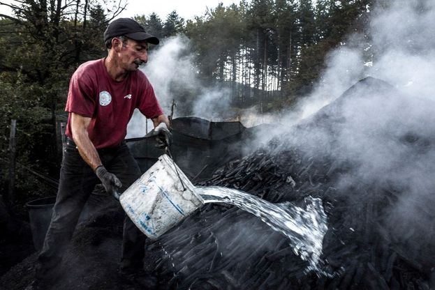 Gli ultimi carbonai: il simbolo della Calabria che resiste