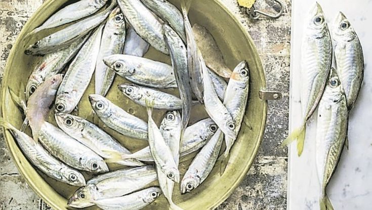 Il pesce giusto: calano i consumi e le scelte sono spesso sbagliate