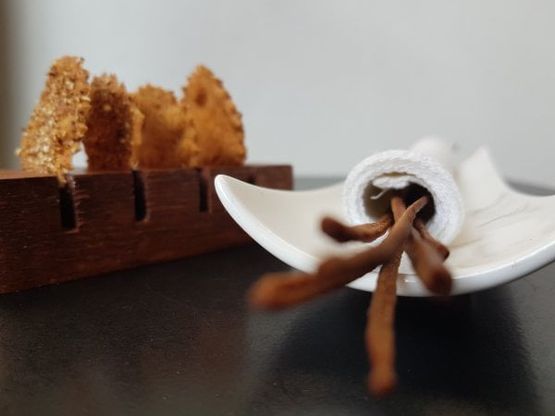 Le foto: i sapori d'Abruzzo nei piatti di Gianni Dezio 