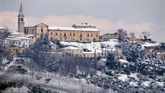 Amarsi tra i vigneti