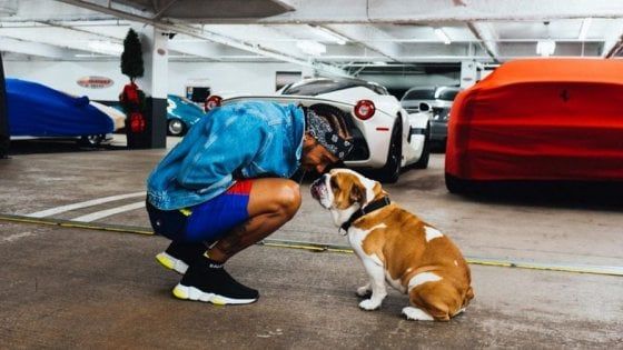 F1, Hamilton piange la morte del cane Coco: "Ho il cuore spezzato"