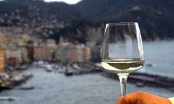 Vinitaly 2016: la viticultura eroica della Liguria
