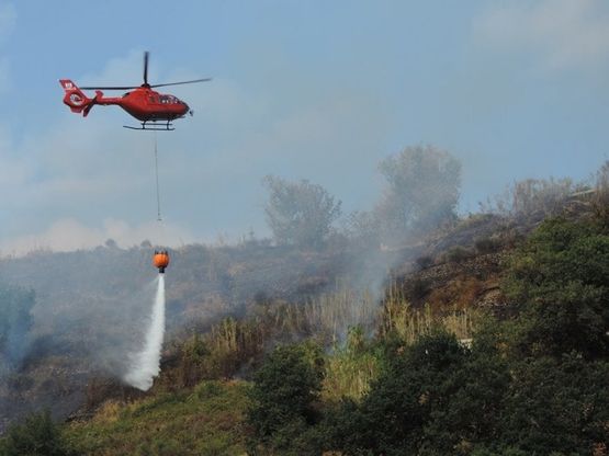 Ischia, ancora incendi: l'estate dei piromani, indagano i carabinieri