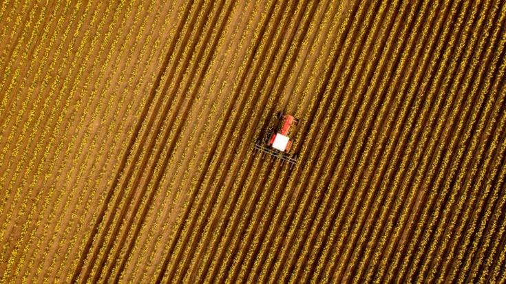 Italiani contrari alla deregulation dei nuovi Ogm