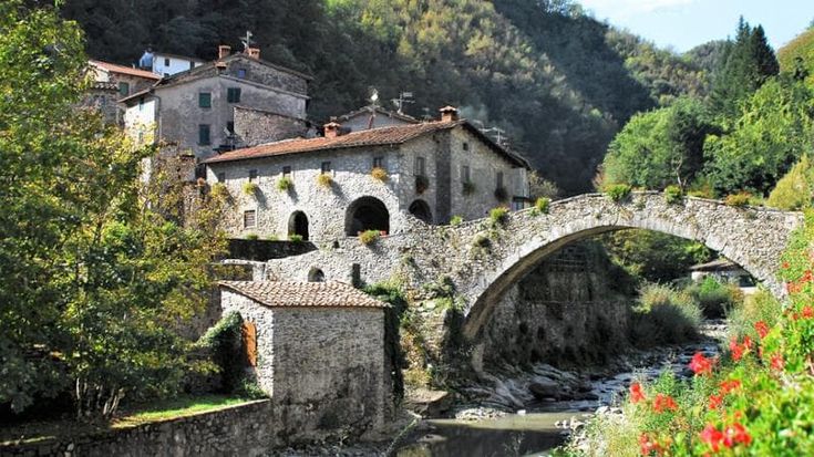 Garfagnana, stop al progetto zipline: "Ci sono le aquile. Fatto un passo indietro"