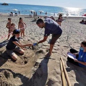 Cilento, sulla spiaggia di Ascea il primo nido di tartarughe della stagione