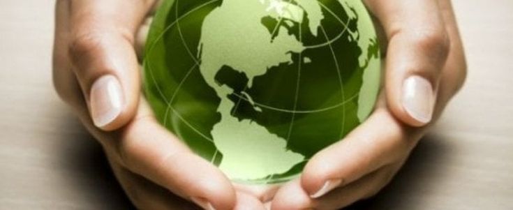 Cresce il business del cibo amico dell'ambiente. Tutto merito dei single 