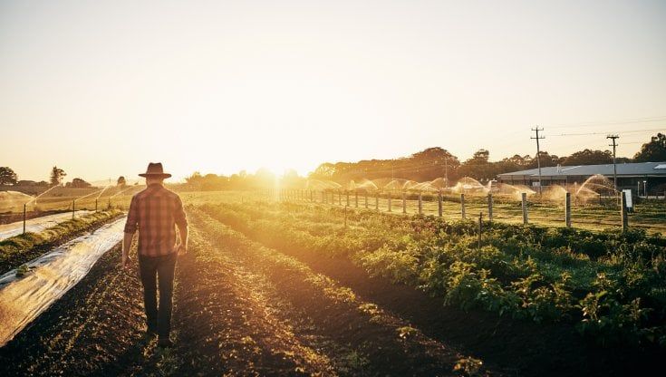 Dai robot ai trattori ibridi, ecco i vincitori del Premio innovazione dell'agricoltura italiana