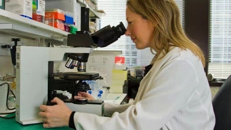 Ricerca e sviluppo, i fondi del Pnrr rischiano di non bastare per colmare il divario con Francia e Germania