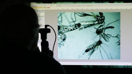 Un caso di Zika a Bologna. Il Comune: "Disinfestazione in corso"