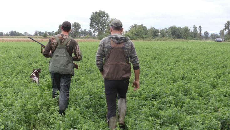Ambientalisti, appello ai sindaci toscani: “Animali provati dal caldo. Fermate la caccia”
