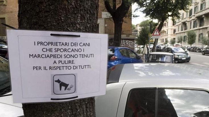 Flop delle “pattuglie decoro”, solo 4 multe in un anno ai proprietari incivili dei cani