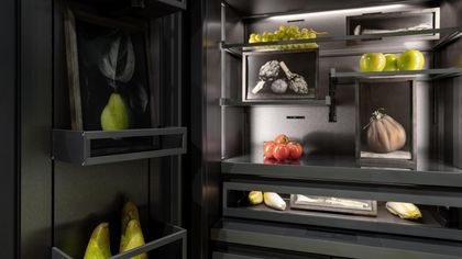 D’Entro, the exhibition is revealed by opening the fridge