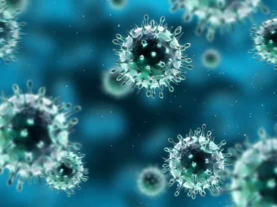 Come trasformare la ricerca biomedica in "prodotto"
