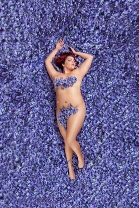 ''American Beauty'', tutte le forme della bellezza 