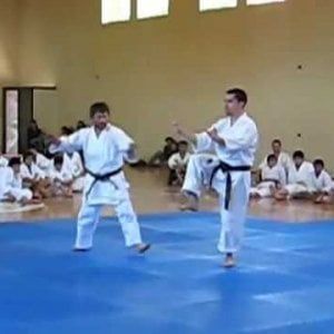Arti marziali giapponesi: a Roma lo Zen Budo