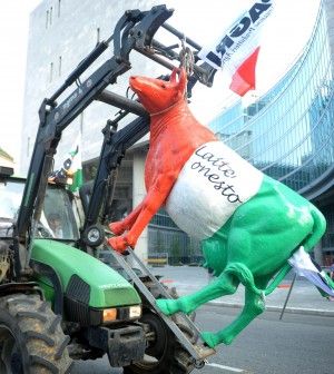 Quote latte, arriva la richiesta Ue:<br />l'Italia recuperi 1,4 mld dai produttori