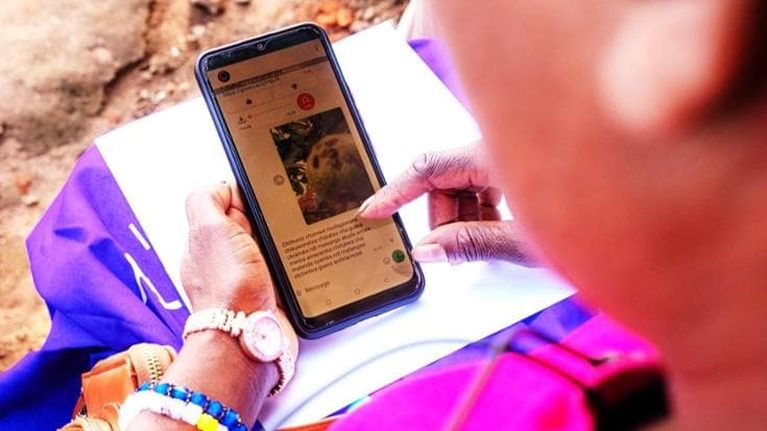 Un consigliere IA su WhatsApp per gli agricoltori africani per fronteggiare El Niño