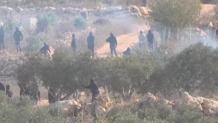Cisgiordania, nuovi attacchi dei coloni durante il raccolto delle olive: le fiamme e gli spari
