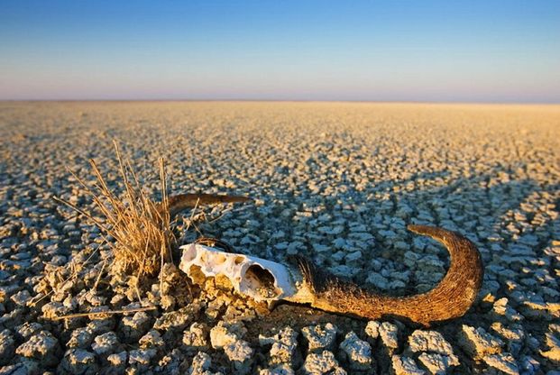 Siccità e desertificazione, dove soffre il Pianeta