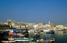 A Bisceglie, alla scoperta dell'olio nuovo