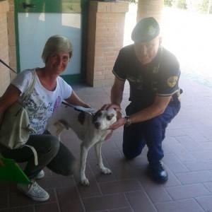 Chiuso in auto sotto al sole, cane salvato dai vigilantes nel parcheggio di Careggi