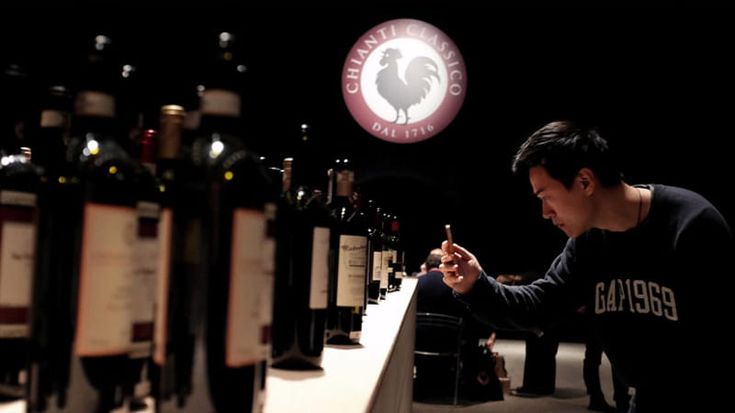 Chianti Classico Collection, aumentano fatturato e prezzo: "E l'ultima annata è di grande qualità"