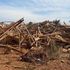 La minaccia di El Niño:“Danni per 7mila miliardi all’economia globale”