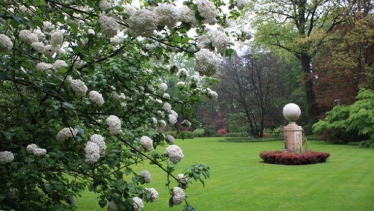 Riapre il grande parco delle ex Scuderie dei Conti Sanvitale a Fontanellato
