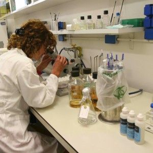 Scoperte le cellule che diffondono il cancro al colon