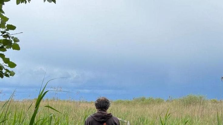 Oasi di Massacciuccoli, tra gli aironi rossi e il boom dei visitatori