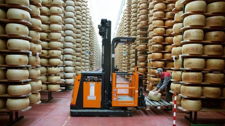 Prezzi giù e stalle in ansia, la crisi del Grana Padano affossa il mercato del latte