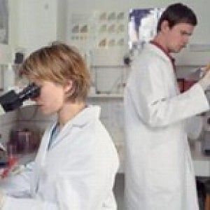Telethon, non solo maratone Tv la ricerca va avanti tutto l'anno