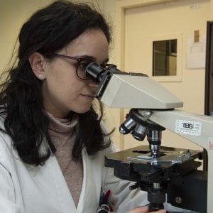 Identificati i primi tre genomi completi dei virus isolati all'Ospedale Sacco, il coronavirus circolava diverse settimane prima del caso Codogno