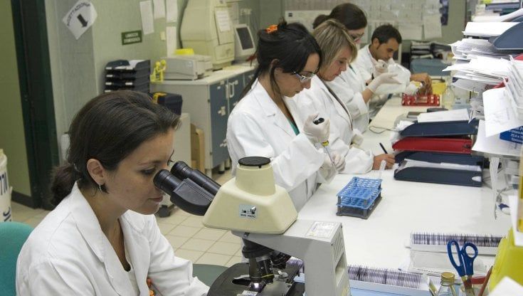 Sei ricercatrici dell'università di Firenze nella hit tra genetica molecolare e caccia ai virus 