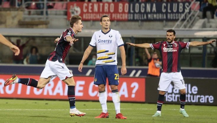 Bologna-Verona 1-0: Svanberg spinge Mihajlovic in alto, Hellas ferma al palo