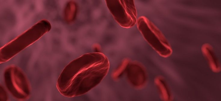 Emofilia A grave: rimborsabile per tutti il farmaco che riduce i sanguinamenti