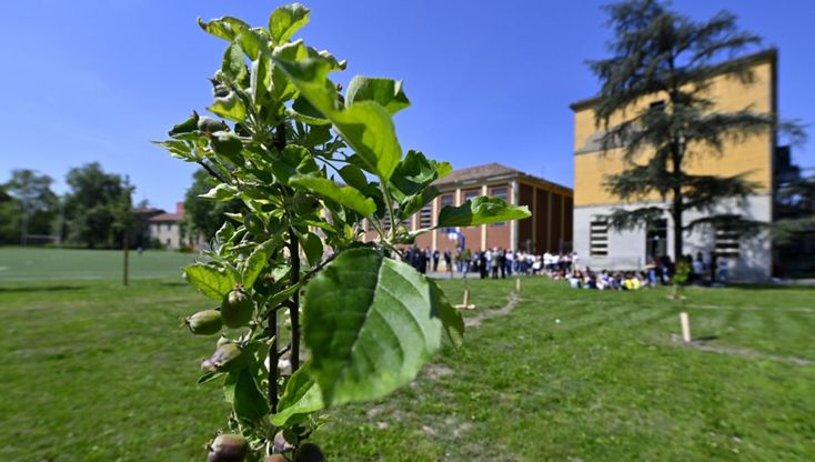 Nel giardino del Maria Luigia un bosco urbano in ricordo di Filippo - foto