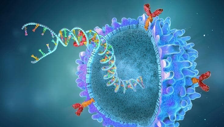 Con terapia CAR-T in remissione tre malattie autoimmuni