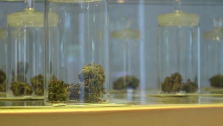 Tra uova e tisane, visita a un negozio di cannabis light