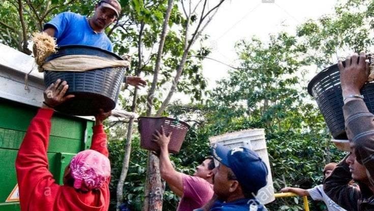 America Latina, le persone migranti guadagnano meno dei nazionali: la denuncia dell’Organizzazione Internazionale del Lavoro