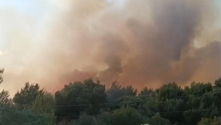 Il vento riaccende le fiamme nel Foggiano, chiusa linea Adriatica. Treni in ritardo fino a un’ora