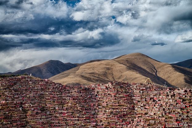 Sony World Photography Awards 2016, cinque italiani in finale: i 40 scatti selezionati