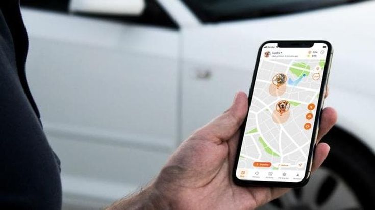 Violenza sessuale su una 18enne. Il Gps del cellulare incastra il 23enne