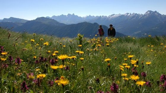 Weekend all'insegna del verde in Val di Fiemme