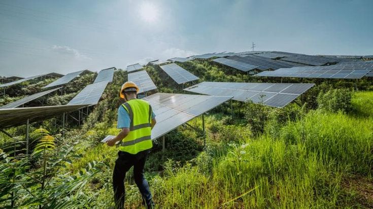 Green jobs, motore della transizione