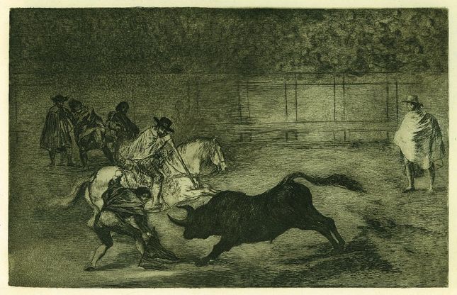 Pavia, 200 capolavori di Francisco Goya ai musei civici