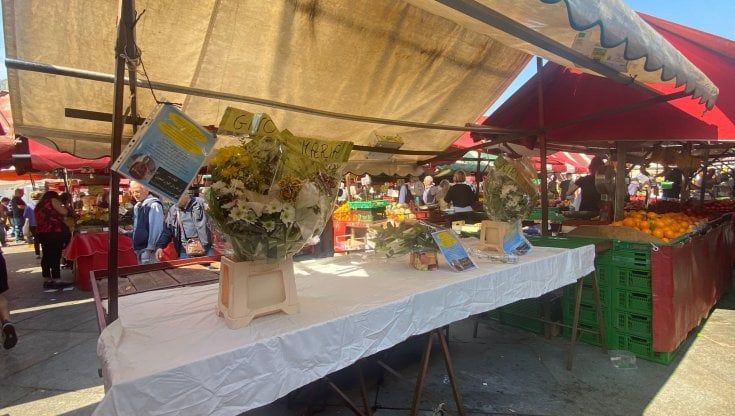 Porta Palazzo piange la morte improvvisa di Said, il commerciante "buono con tutti". Raccolti 6mila euro per restituire la salma al Marocco