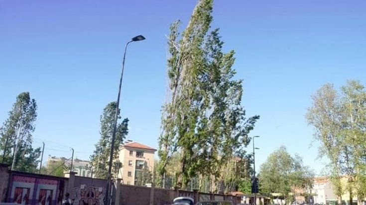 Allerta gialla per forte vento a Milano e in Lombardia: rischio di raffiche fino a 90 km/h